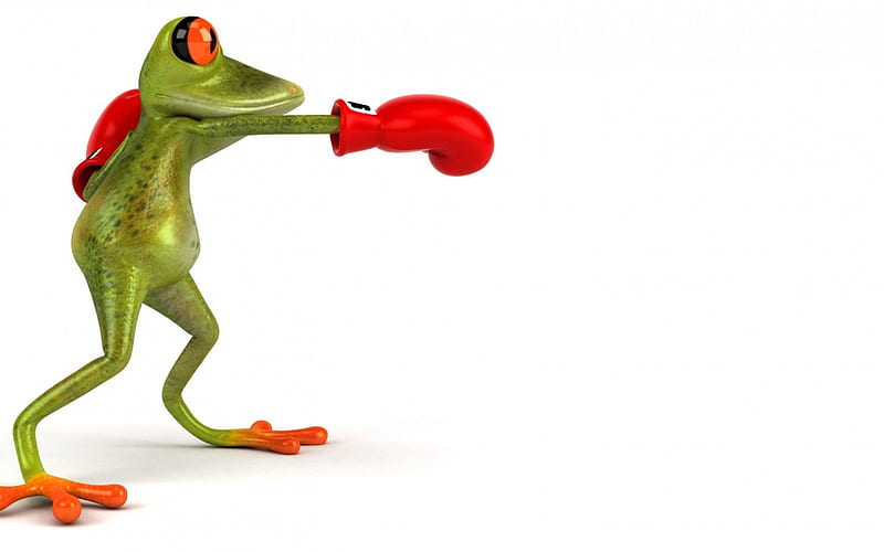 Let's train!, red, broasca, box, card, frog, glove, green, funny, white, HD wallpaper