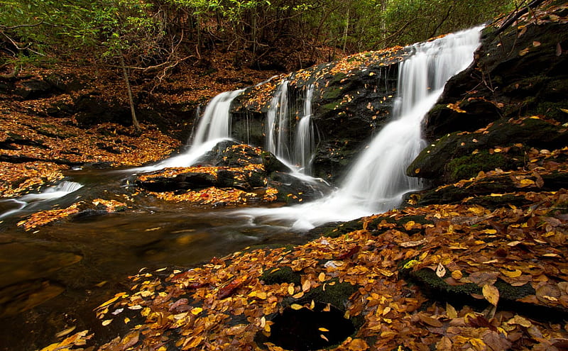 Autumn at Big Laurel Falls, North Carolina, USA, Forest, Waterfall, Autumn, HD wallpaper
