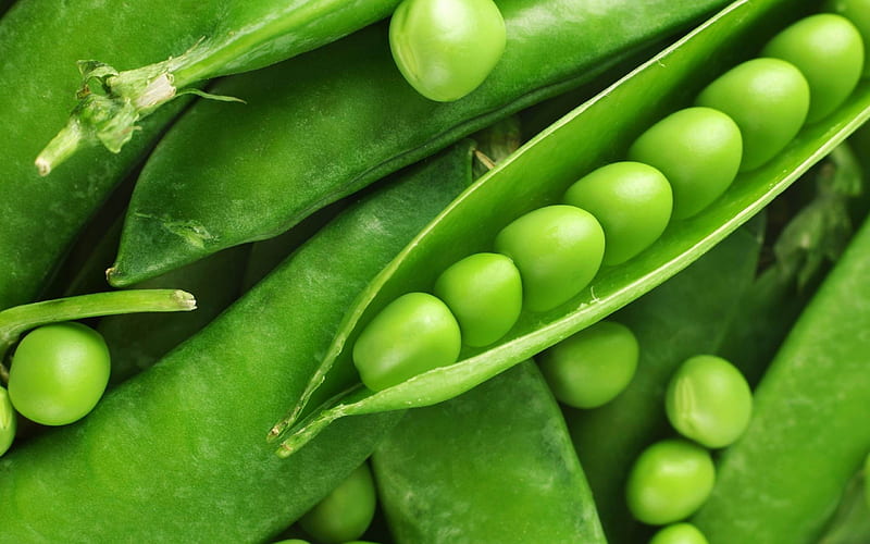 fresh green peas-Plant close-up, HD wallpaper