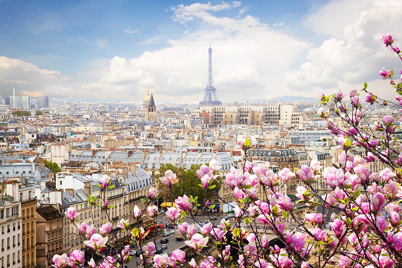 Cities, Paris, Blossom, City, Cityscape, Eiffel Tower, France, Spring, HD wallpaper