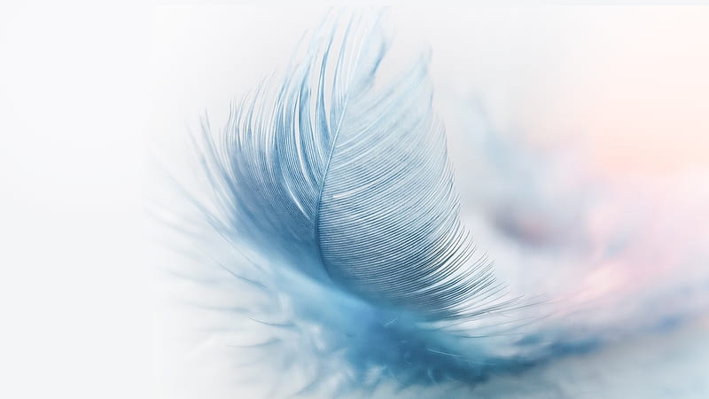 Feather So Soft, ethereal, feather, pastel, soft, Firefox Persona theme, HD wallpaper
