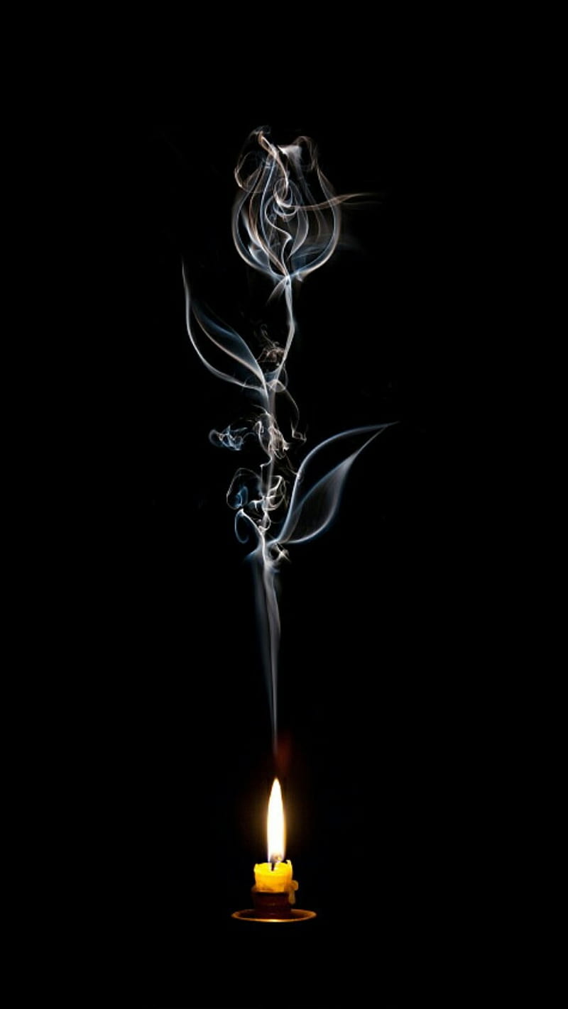 Candle, black, flower, HD phone wallpaper