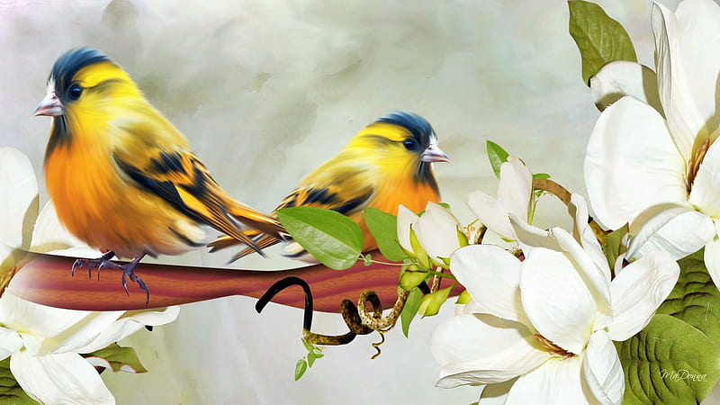 Yellow Bird Yellow Bird, limb, flowers, warm, birds, yellow, spring, branch, finch, bright, summer, flowers, canaries, HD wallpaper
