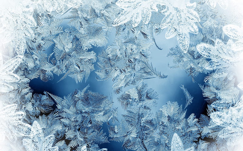 frost textures, frost on glass, winter textures, frost patterns, hoarfrost textures, hoarfrost, HD wallpaper