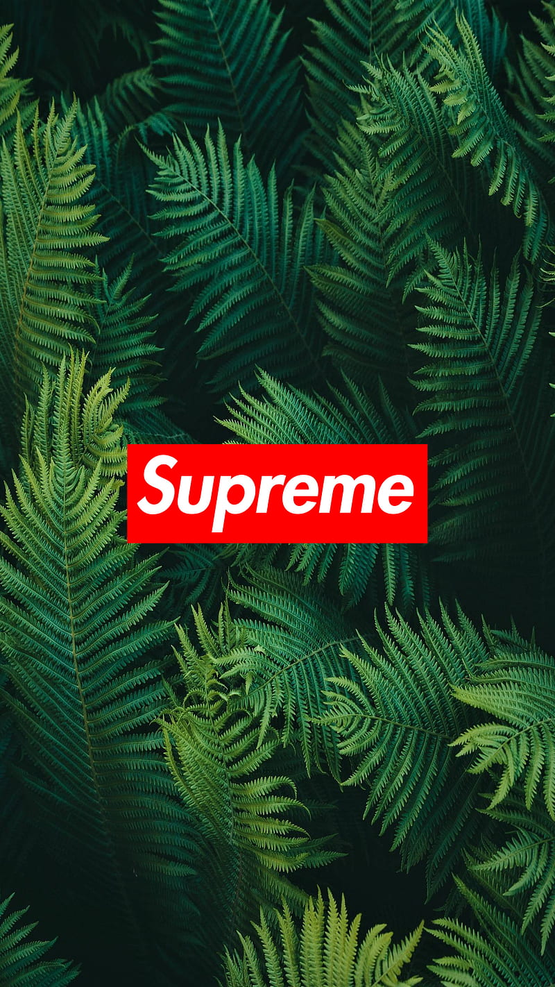 Supreme Leaves, brand, green, leaves, logo, nature, supreme, HD phone wallpaper