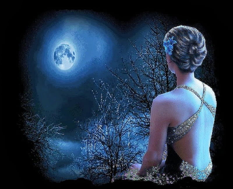 Looking on full moon, girl, full moon, nature, looking, night, HD wallpaper  | Peakpx