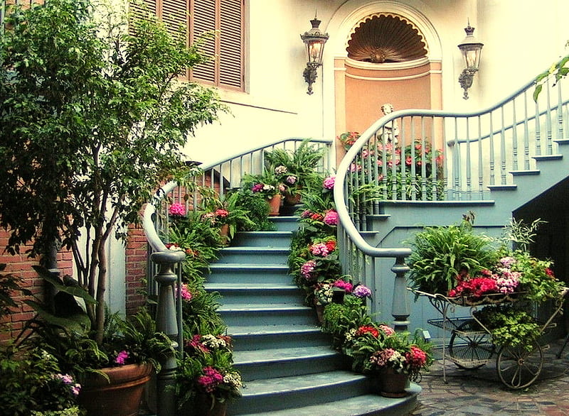 Winding stair with flowers, flowers, winding stair, house, entrance, HD wallpaper