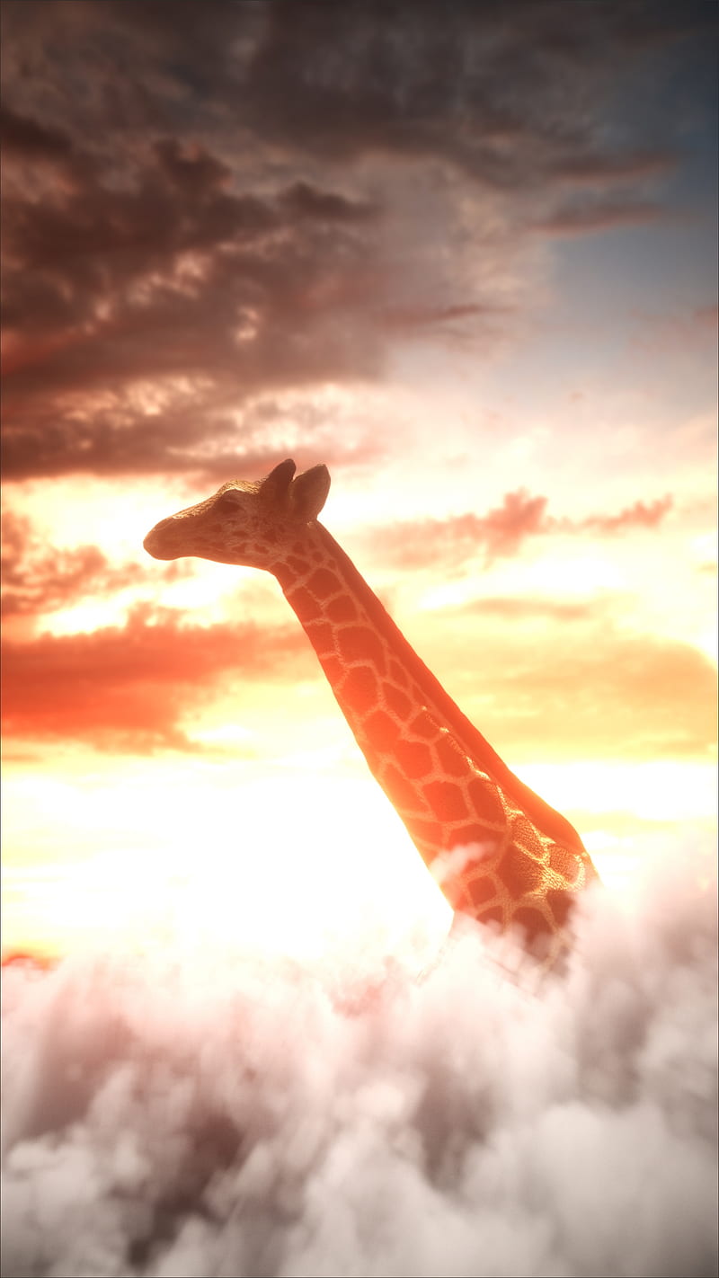 Giraffe, 3d, Sartajistic, abstract, amoled, animal, dark, emoji, girraffe, old, render, HD phone wallpaper