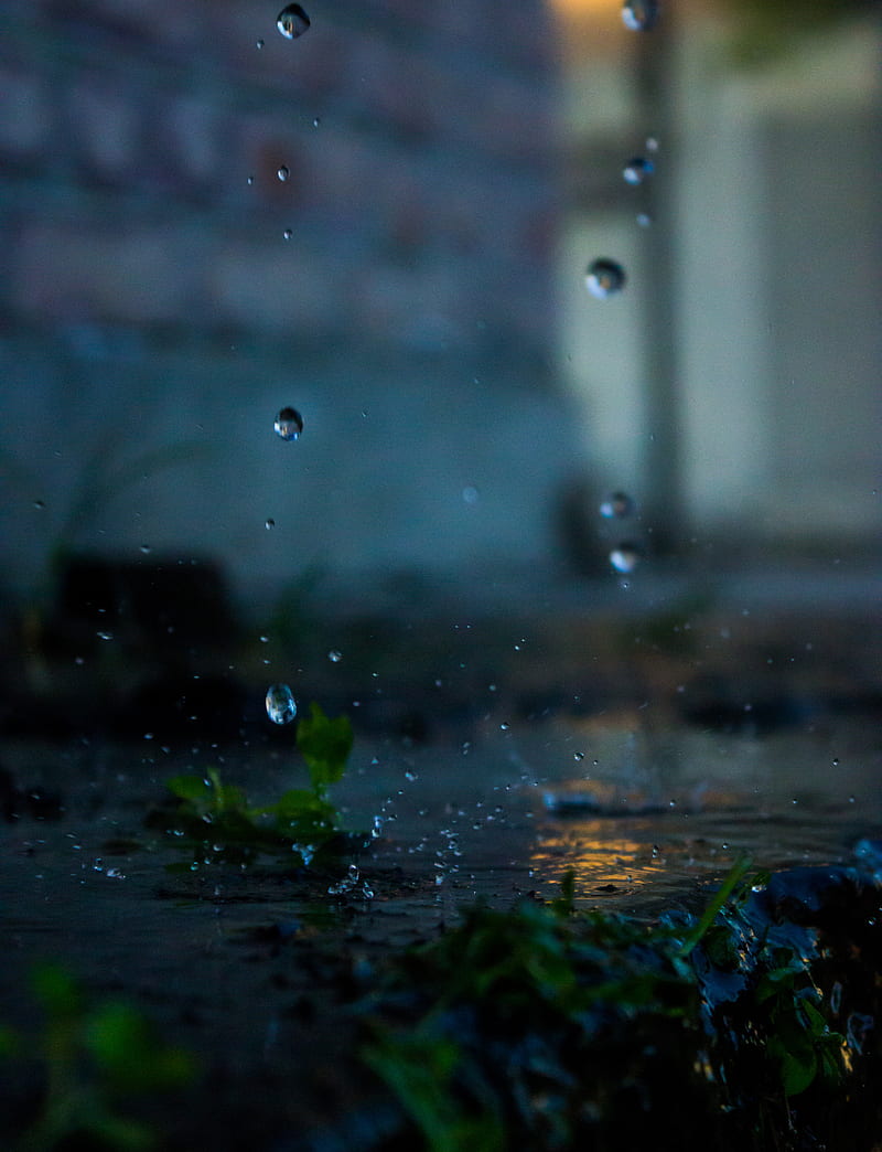 Rain drops, canon, goldenhour, morning, raining, sunshine, water ...