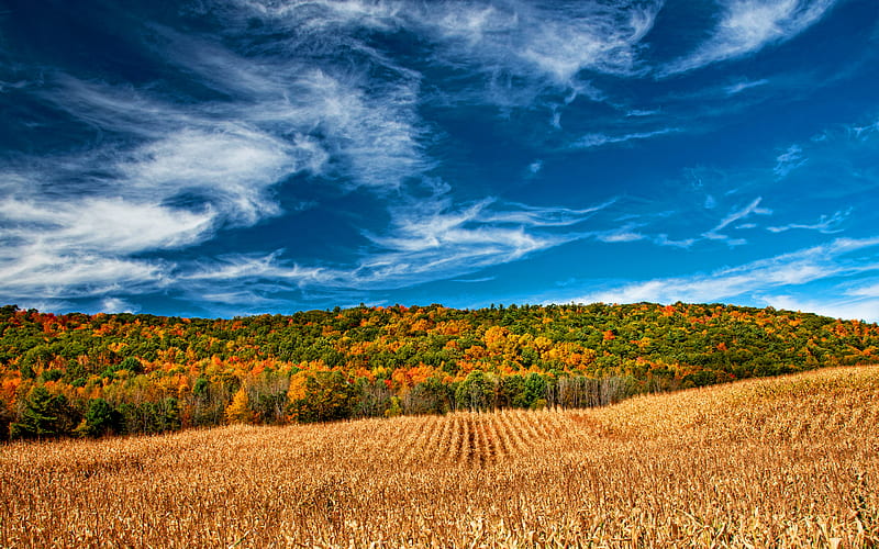 Finger Lakes Region, R, autumn, beautiful nature, New York, USA, America, HD wallpaper