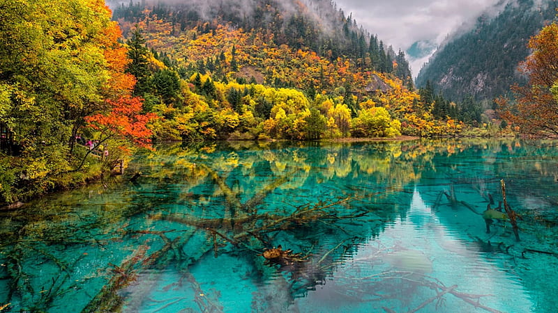 Five Color Lake, forest, autumn, China, mountains, crystal colored waters, bonito, Jiuzhaigou Valley, mist, HD wallpaper