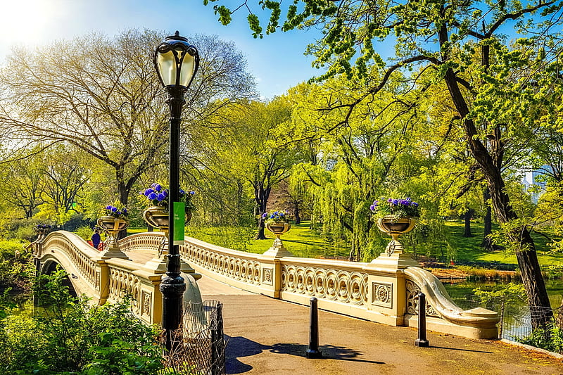 Central park, pretty, lantern, bonito, trees, bridge, summer, flowers, walk, river, HD wallpaper