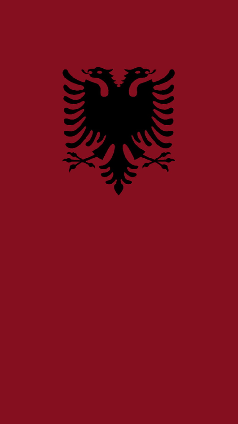 Shqipe, albania, albanian, albanian eagle, eagle, shqip, shqiperi, shqiptar, HD phone wallpaper