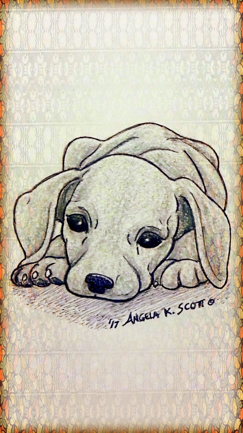 Dog Drawing (Bulldog, Pug, Dachshund) - The Graphics Fairy-saigonsouth.com.vn