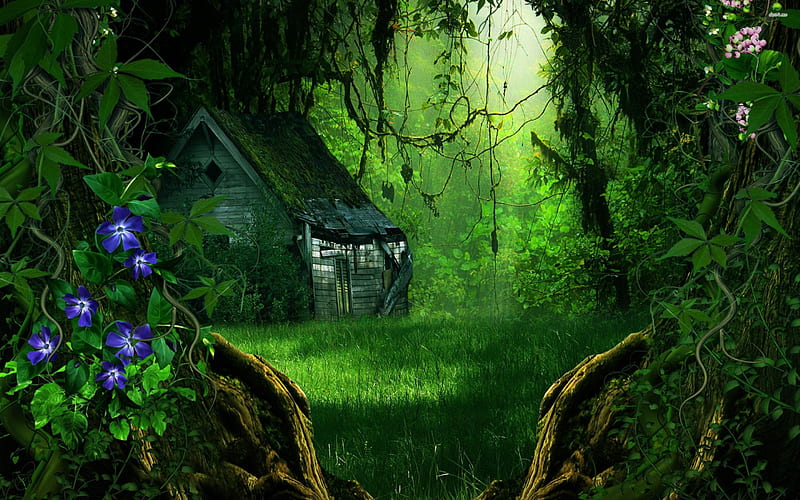 Abandoned House in Fantasy Forest, forests, fantasy, abstract, barn, HD wallpaper