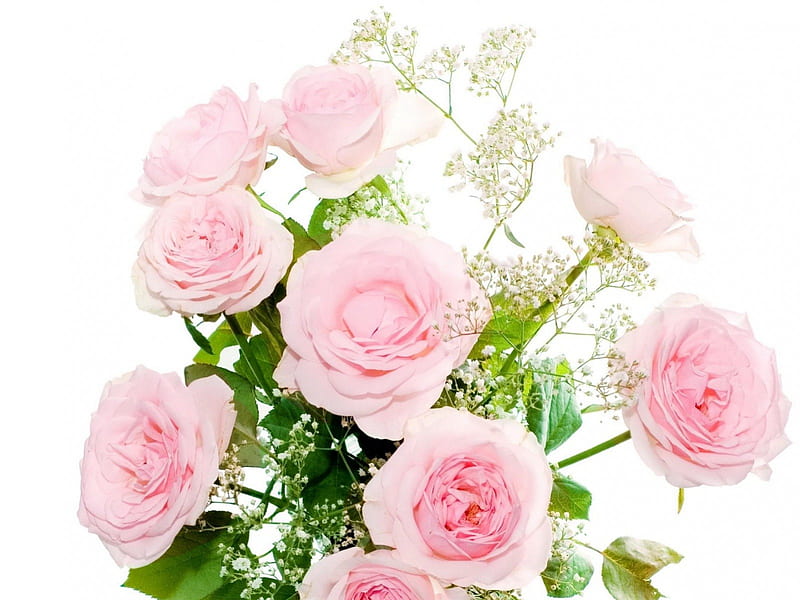 Pink Roses, lovely, bouquet, beauty, pastel, roses, pink, softness