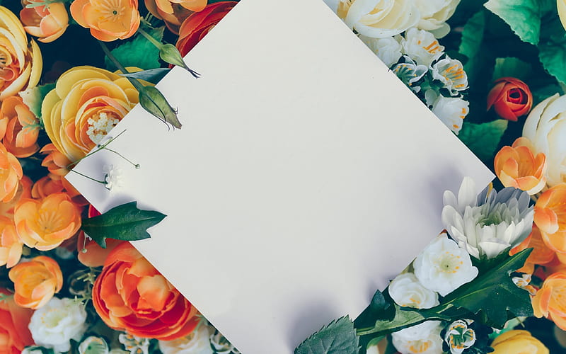 Floral frame, white clean paper, flowers, spring, roses, spring flowers, HD wallpaper