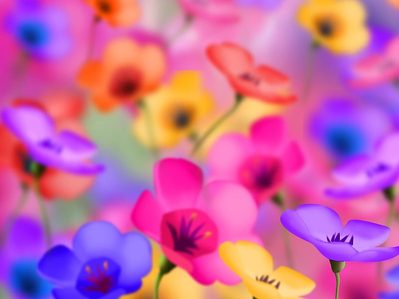 Flores de colores, coloridas, moradas, naranjas, flores, rosas, Fondo de  pantalla HD | Peakpx
