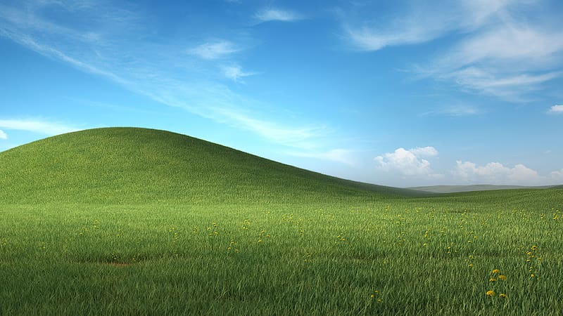 Meadow bliss, green grass, landscape, Microsoft Windows XP stock, HD wallpaper