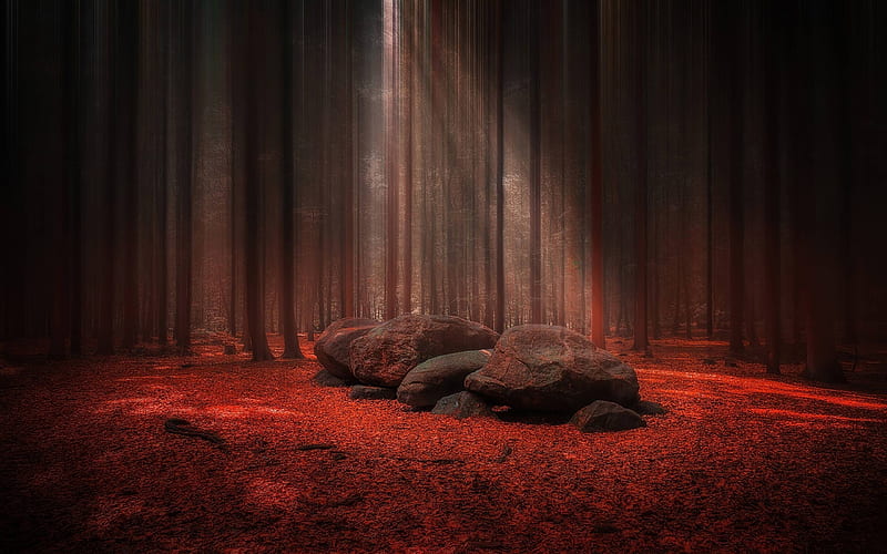 Red Forest Glade With Stones, forest, cool, nature, trees, fun, HD wallpaper