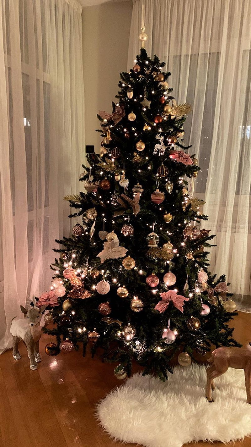 Christmas Tree, christmas tree, country, lights, mood, morning, santa, trees, xmas, HD phone wallpaper