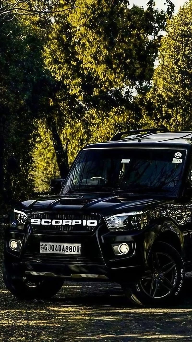 Black Scorpio, Trees Background, black car, HD phone wallpaper