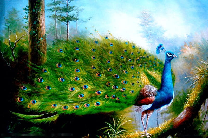 Beautiful Peacock, bird, painting, colors, artwork, feathers, HD wallpaper