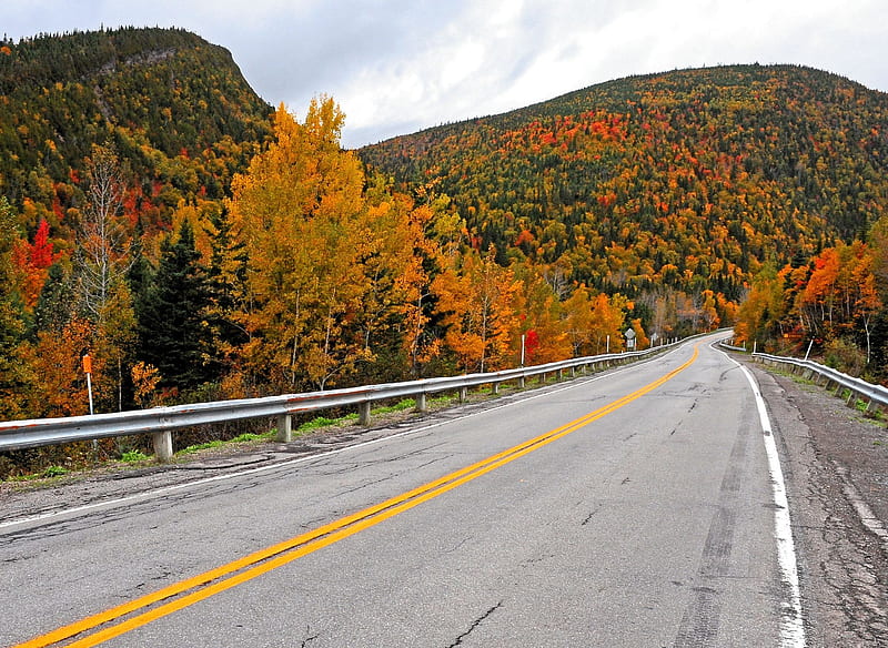 Parque Nacional de Forillon, Quebec, Canada, trees, road, hills, forest, autumn, colors, HD wallpaper