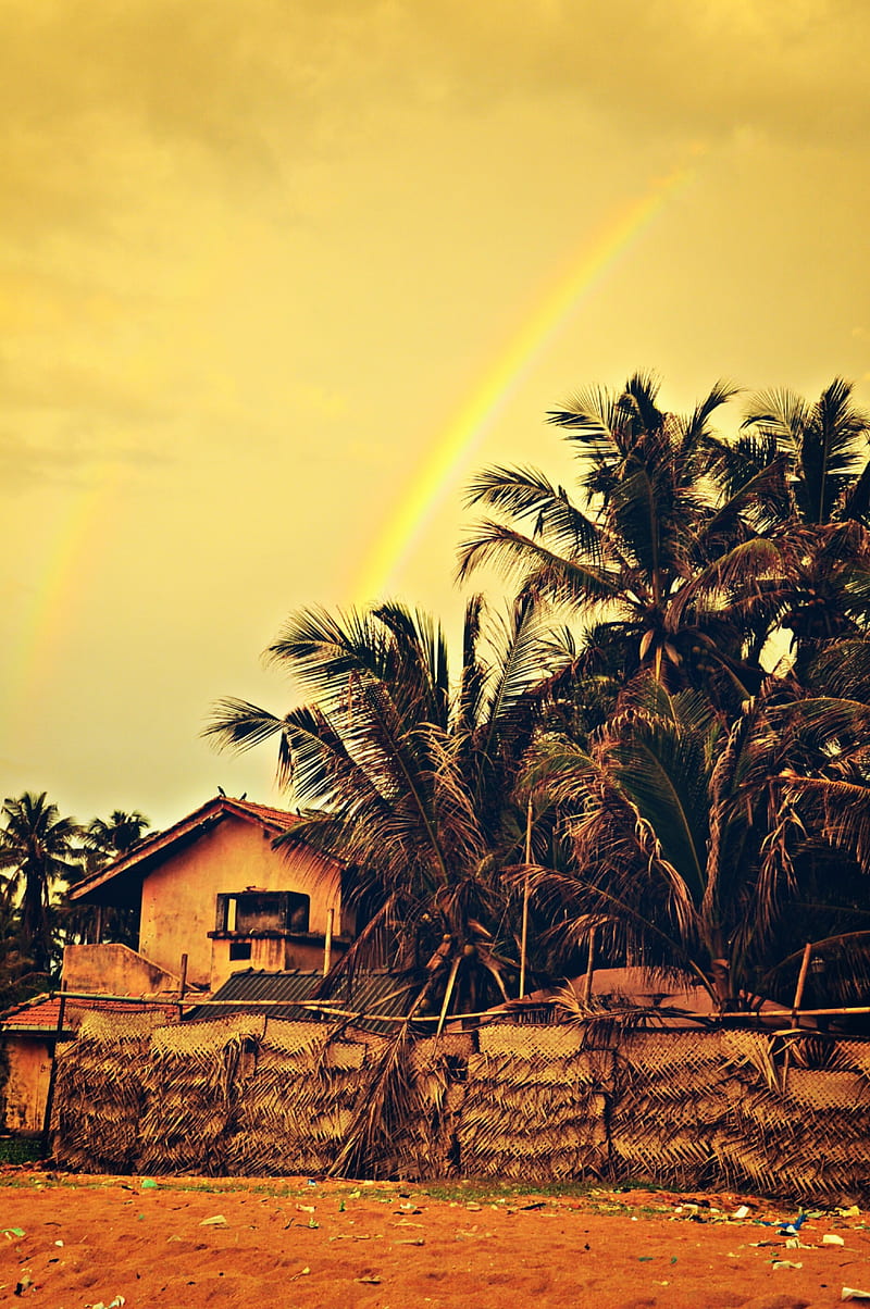 Evening rainbows, beach, natural, beaches, colorful, trees, houses, poor, people, beauty, HD phone wallpaper