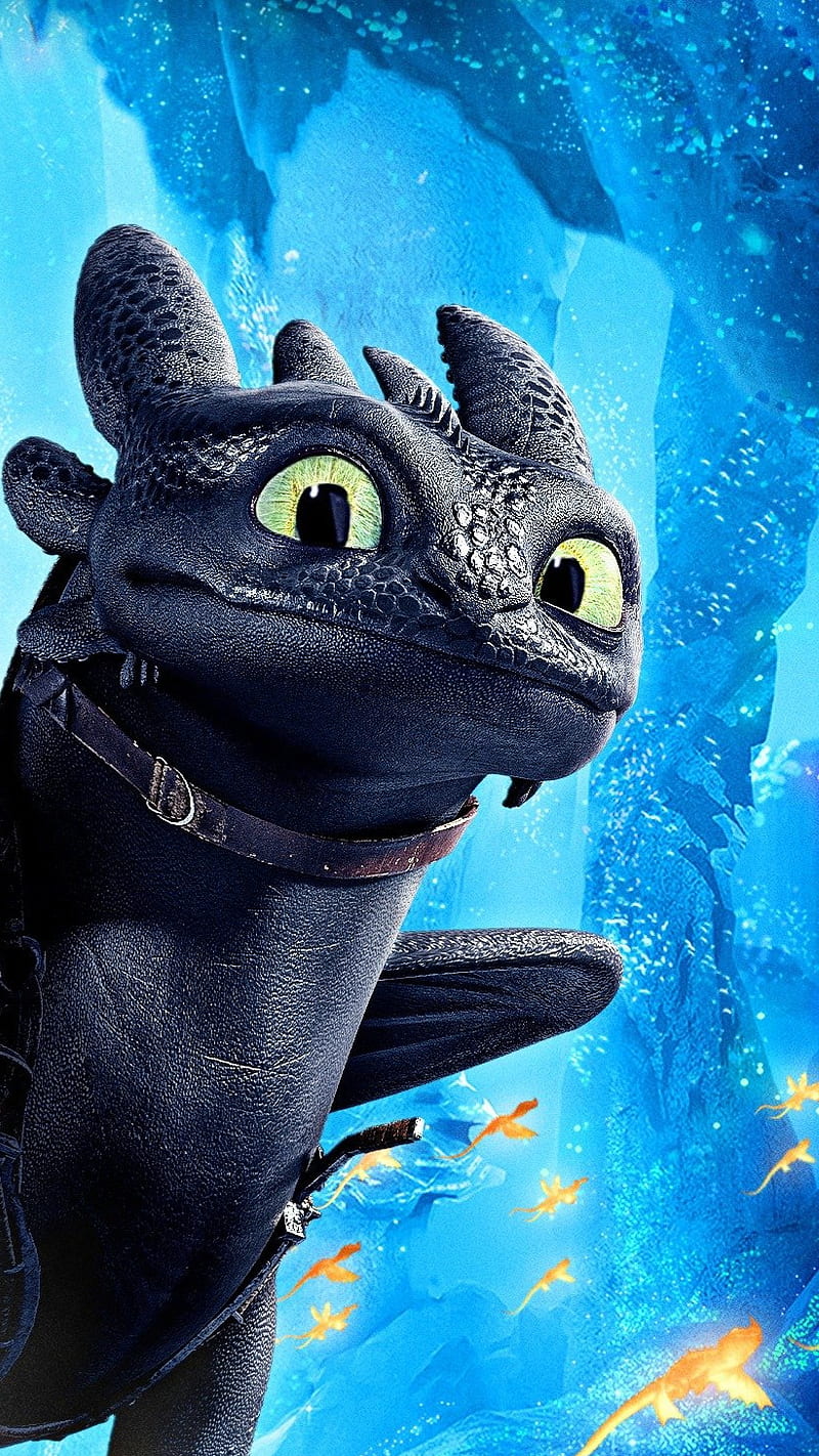 Toothless the Dragon Wallpaper 70 pictures