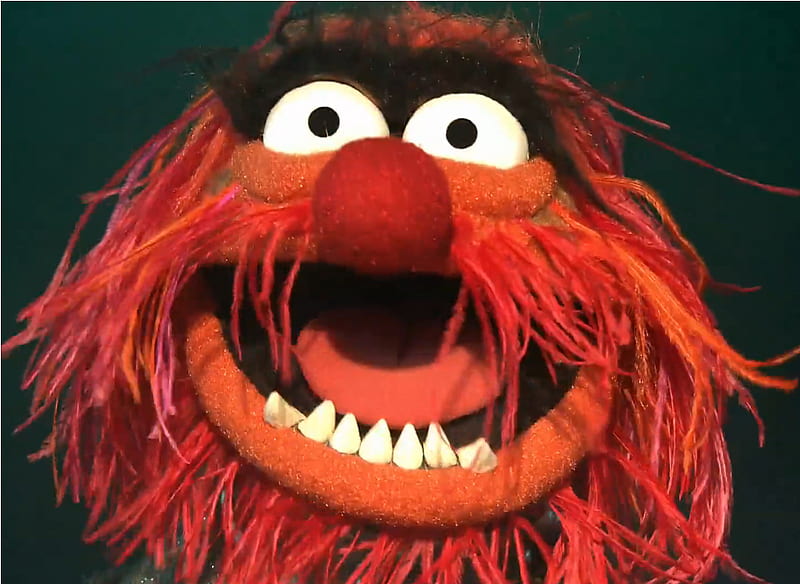 animal, red, the muppets, wild drummer, HD wallpaper