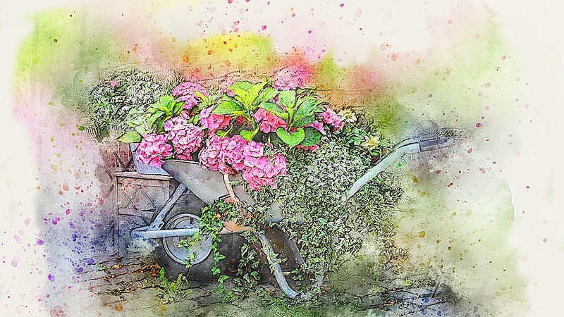 Flowers in Wheelbarrow, Firefox theme, hydrangea, splatter, paint, wheel barrow, brick, garden, flowers, ivy, vintage, HD wallpaper