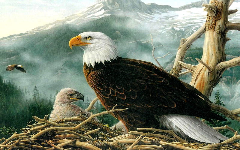 Nueva familia, montaña, águilas, árbol, nido, pintura, águila, águila bebé,  Fondo de pantalla HD | Peakpx