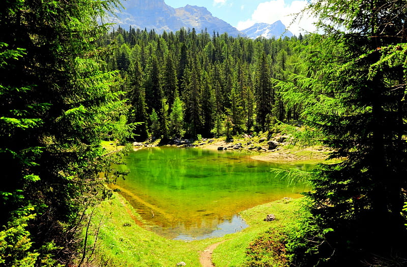 Small mountain lake, forest, clear, clouds, small, lake, mountain, water, green, fields, crystal, HD wallpaper