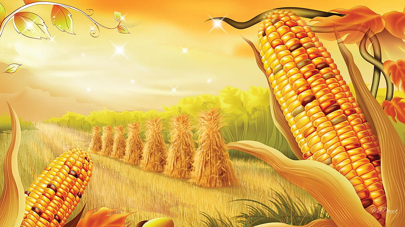 Harvest in the Field, corn, fall, autumn, harvest, orange, country, trees, sky, farm, cob, gold, field, HD wallpaper