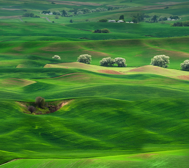 Green Landscape, 7itech, course, golf, holes, link, HD wallpaper