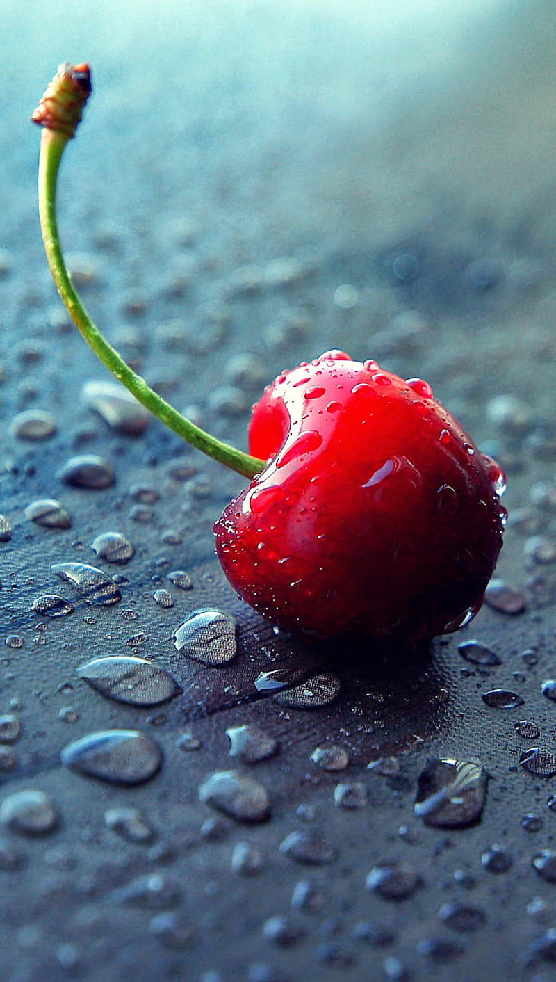cherry, drop, rain, red, HD phone wallpaper