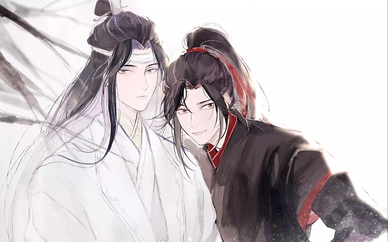 Anime, Lan Zhan, Wei Ying, Lan Wangji, Wei Wuxian, Mo Dao Zu Shi, HD ...