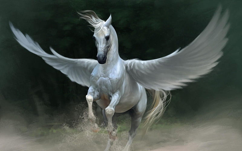 Pegasus, wings, black, horse, animal, fly, fantasy, white, creature, HD wallpaper