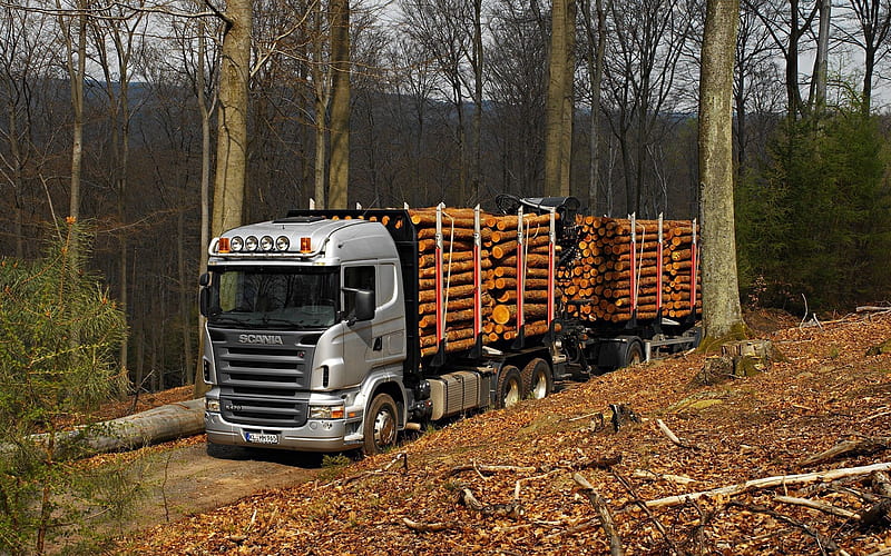 scania logging truck, forest, truck, logging, scania, HD wallpaper