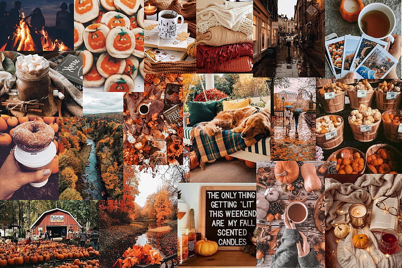 Fall vibes Collage . fall, Halloween, Cute laptop, HD wallpaper | Peakpx
