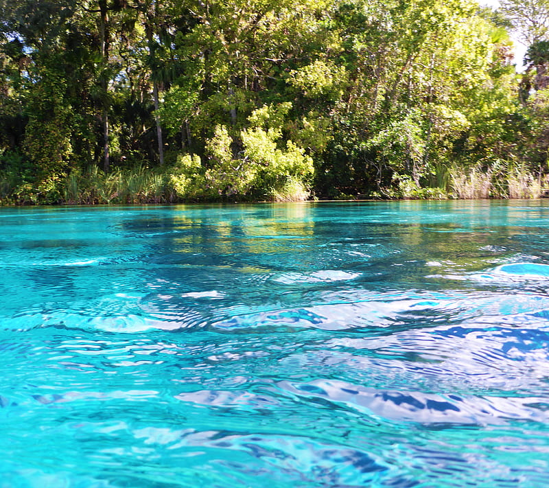 Blue lagoon, blue, florida, nature, springs, water, HD wallpaper