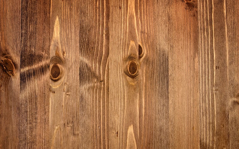 Vân gỗ dọc là sự lựa chọn hoàn hảo cho những người yêu mộ sự đơn giản và sang trọng. Nó tạo nên một kết cấu đặc biệt và thu hút, đưa cảm nhận của căn phòng lên cao trào.