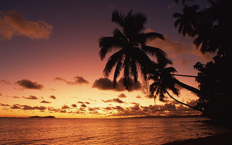 Island Sunset Fiji, skies, sunrise, sunset, island, fiji, palm trees, HD wallpaper
