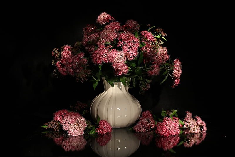 graphy, Still Life, Flower, Pink Flower, Vase, HD wallpaper