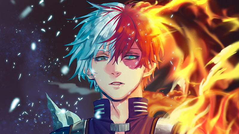 Blue Eyes My Hero Academia Todoroki Todoroki, HD wallpaper | Peakpx