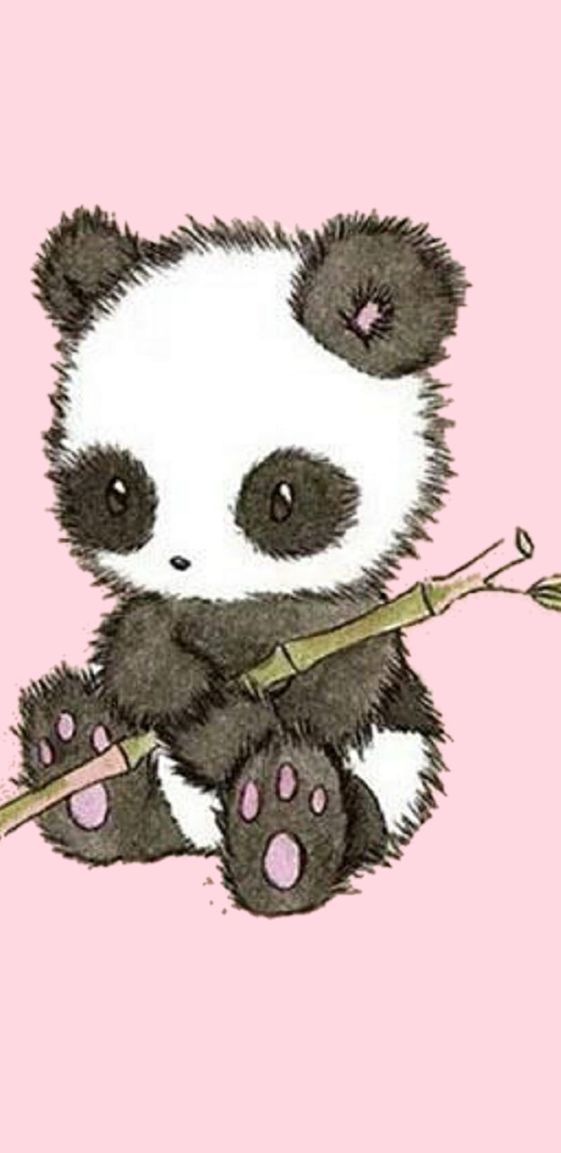 Panda, bamboo, little panda, HD phone wallpaper