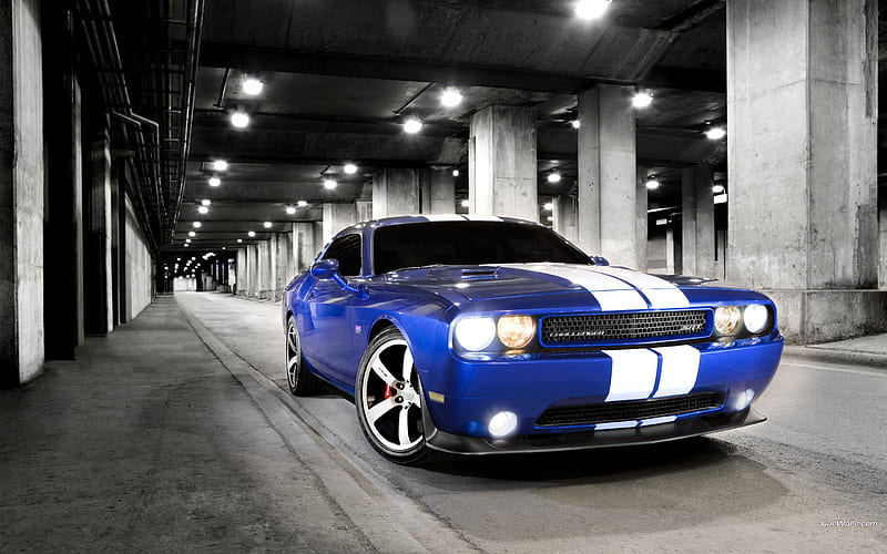 The appearance of blue and white vehicle-Dodge Challenger SRT8 392 2012 models, HD wallpaper