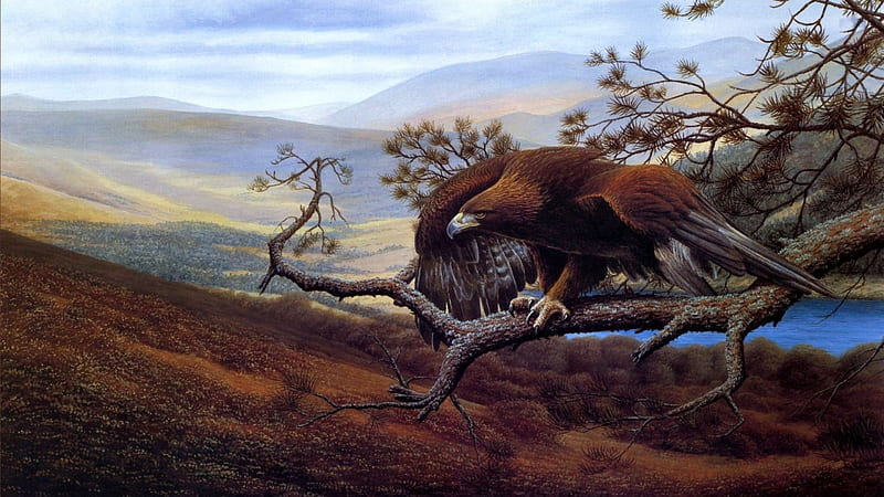 Eagle on a Tree, painting, raptor, artwork, landscape, HD wallpaper ...