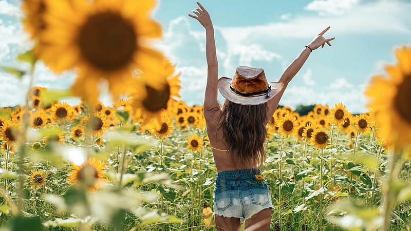 Cuidador de girasol. ., sombreros, vaquera, rancho, aire libre, mujeres,  morenas, Fondo de pantalla HD | Peakpx